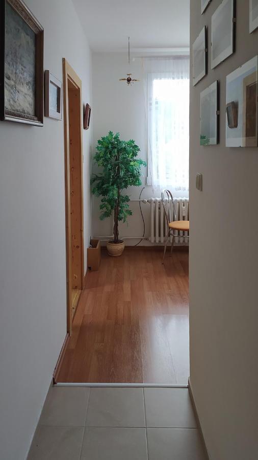 Apartman V Srni Exterior photo